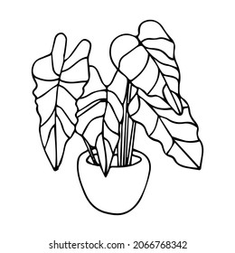 Houseplant in a pot drawn with a contour in doodle style. Vector illustration.