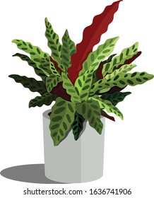 Houseplant in a pot. Flat vector illustration