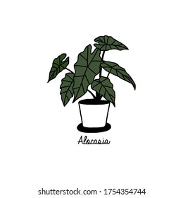 Houseplant in pot. Hand draw sketch vector.