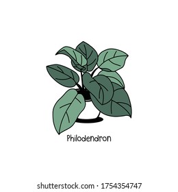 Houseplant in pot. Hand draw sketch vector.