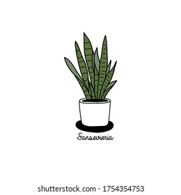 Houseplant in pot. Hand draw sketch vector.