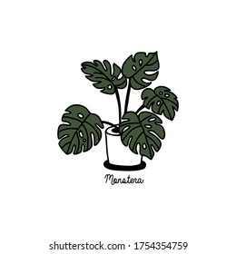 Houseplant in pot. Hand draw sketch vector.