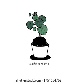 Houseplant in pot. Hand draw sketch vector.