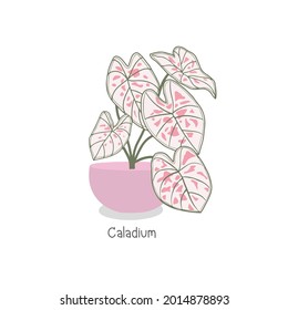 Houseplant in pot. Hand drawn vector art.
