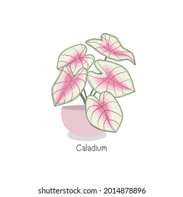 Houseplant in pot. Hand drawn vector art.