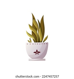 Houseplant in pot. Home garden, potted plant concept. Isolated vector illustration.