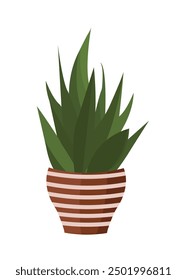 Houseplant in a pot for home, office, flowershop. Trendy home decor. Urban Cozy home gardening. Vector illustration