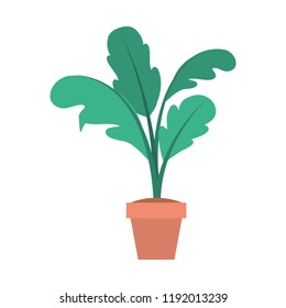 houseplant in pot icon