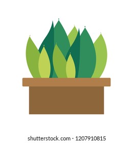 houseplant in pot icon
