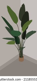 Houseplant pot illustration. Vector flat image of a plant in a room. Image of flora. Design for postcards, posters, backgrounds, templates, postcards, textiles, t-shirts.