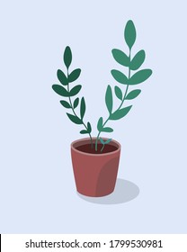 Houseplant  in pot.  Indoor plant and flower in pot. Landscaping at home. Decor for the apartment and garden. Houseplant vector illustration. Home flowers.