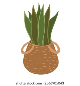 Houseplant in pot for interior decoration.Vector illustration plant in flat style. Perfect for home decor, eco-friendly designs, and botanical projects. 