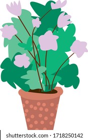 Planta doméstica en un aislado de ollas. Flor maceta plana verde. Símbolo de jardinería.