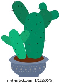 Houseplant in a pot isolate. Green flat potted flower. Gardening symbol.