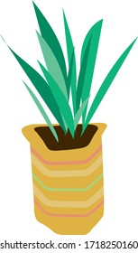 Planta doméstica en un aislado de ollas. Flor maceta plana verde. Símbolo de jardinería.