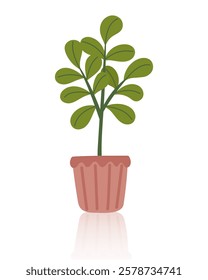 Houseplant in the pot isolated on white. Concept of indoor greenery, home decor, nature, botanical design, ecology, care, growth and sustainability. Vector hand drawn clipart.