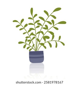 Houseplant in the pot isolated on white. Concept of indoor greenery, home decor, nature and botanical design. Vector hand drawn clipart.