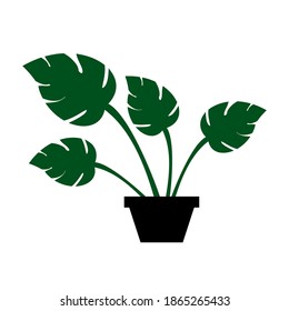Houseplant in pot isolated. Vector flat style illustration