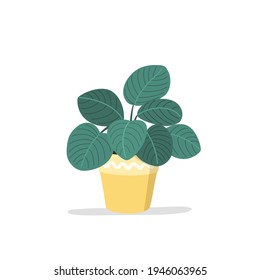 Houseplant in pot isolated.  Vector flat style illustration