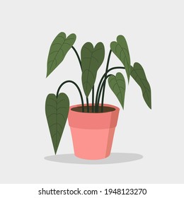 Houseplant in pot isolated.  Vector flat style illustration