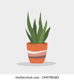 Houseplant in pot isolated.  Vector flat style illustration