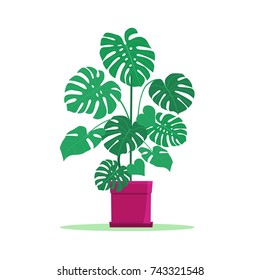 Houseplant in pot isolated. Vector flat style illustration