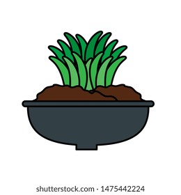 houseplant in pot natural icon