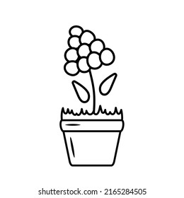Houseplant in a pot. Nice flower. A beautiful plant. Vector illustration in doodle style.