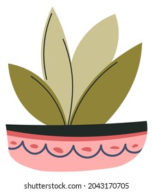Houseplant in pot with ornaments and decorative curved lines. Isolated flower for home or office interior design. Botanic plant with leaves, flora for refreshment and reviving. Vector in flat style
