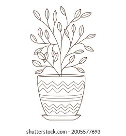 A houseplant in a pot with a pattern. Decorative design element with an outline. Doodle, hand-drawn. Black white vector illustration. Isolated on a white background.