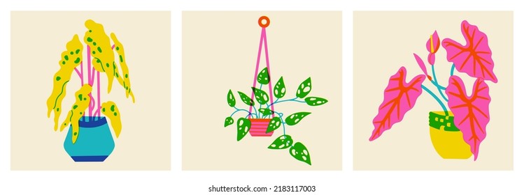 Houseplant In A Pot. Set Of Flowers In Trendy Risograph Print Texture Style. Hand Drawn Graphic Of Succulent With Leaves On Background. Vector Illustration Of Palm Leaf