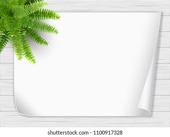 A houseplant in a pot stands on a wooden table and a sheet of white paper. Fern bush. Top view.