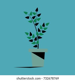 houseplant in the pot vector flat illustration