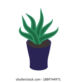 Houseplant in the pot vector illustration eps. 10