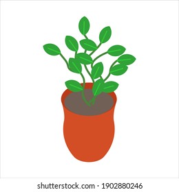 Houseplant in the pot vector illustration eps. 10