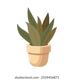 Houseplant in a pot. Vector illustration isolated on white background.