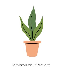 Houseplant in a pot, vector illustration isolated on white background