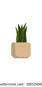 Houseplant in pots. Green natural decor for home and interior. Vector stock illustration