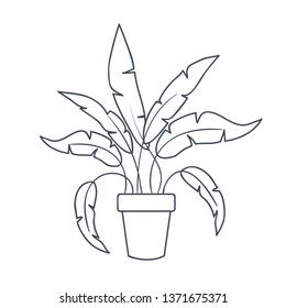 houseplant with potted isolated icon