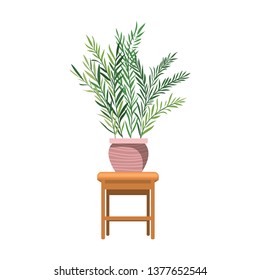 houseplant with potted on the table