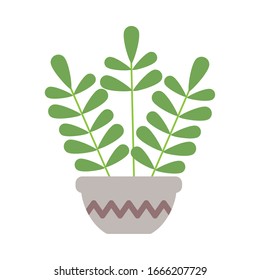 houseplant with potted on white background vector illustration design