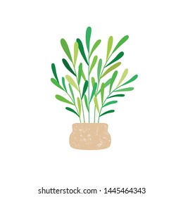 Houseplant with potted. Vector illustration on white isolated background