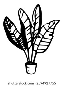 Houseplant in potted vector whimsical illustration on isolated background. Line art palm plant naive drawing for logotype or contemporary design. Monochrome contour drawing ficus, monstera.