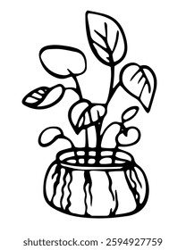 Houseplant in potted vector whimsical illustration on isolated background. Line art palm plant naive drawing for logotype or contemporary design. Monochrome contour drawing ficus, monstera.