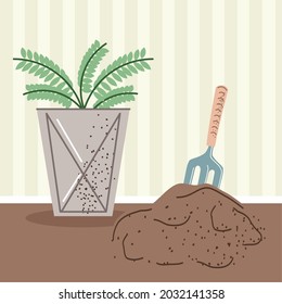 houseplant with rake tool and soil