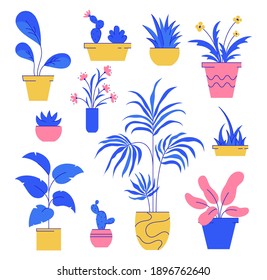 Houseplant set. Collection of potted plants isolated white background. Vector illustration.