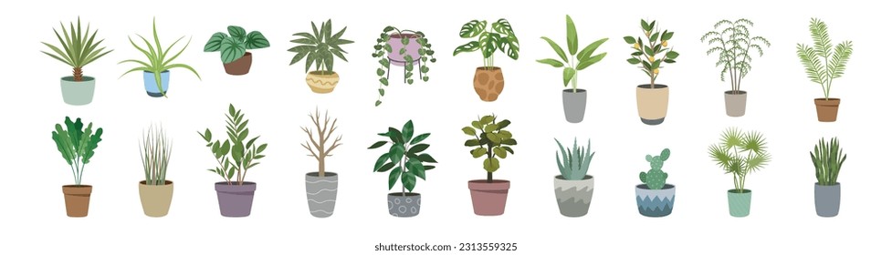 Houseplant set. Indoor plant vector. Flowers.