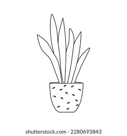 Houseplant Sketch. Hand drawing indoor plant in potted. Sansevieria or snake plant, outline room plant, vector illustration