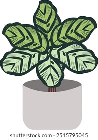 Una planta doméstica, a veces conocida como planta de maceta, planta en maceta o planta de interior, es una planta ornamental que se cultiva en interiores.