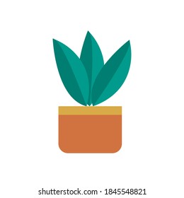 planta doméstica en el cuadrado de la cacerola plana icono de diseño vectorial